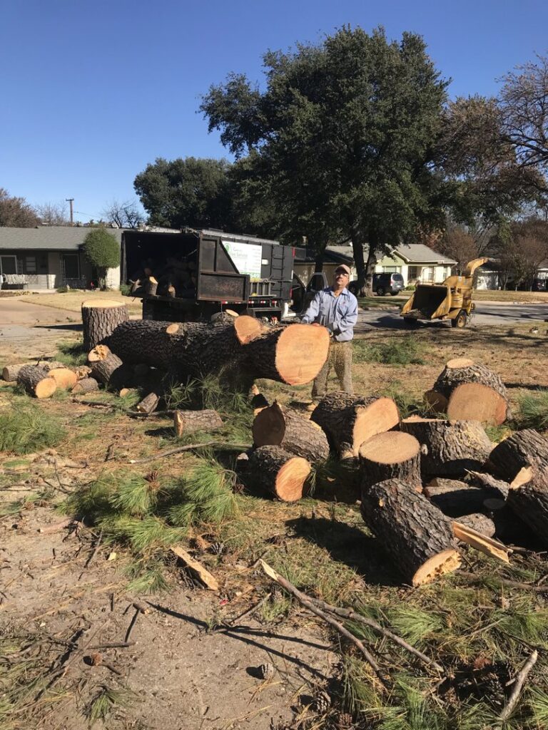 Business queued-photos - Ramirez Tree Service