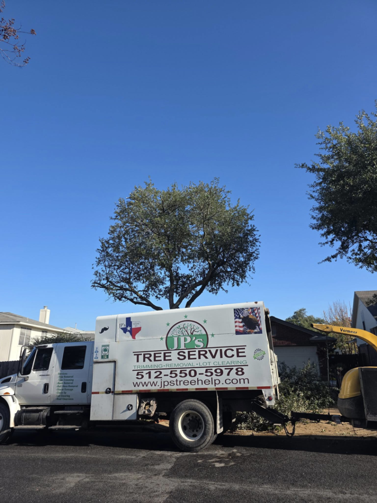 Business queued-photos - JP’S Tree Service