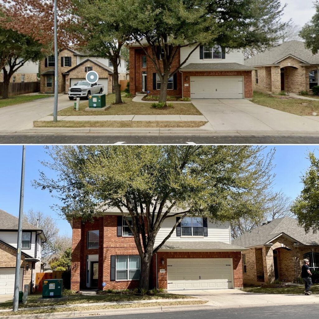 Business queued-photos - JP’S Tree Service