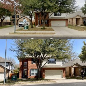 Business queued-photos - JP’S Tree Service