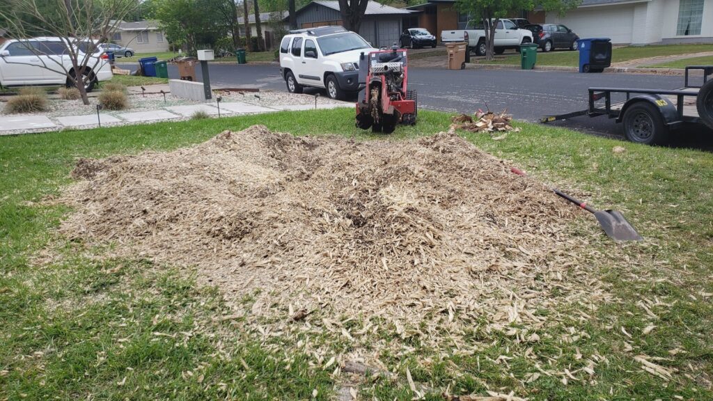 Business queued-photos - JP’S Tree Service