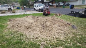 Business queued-photos - JP’S Tree Service