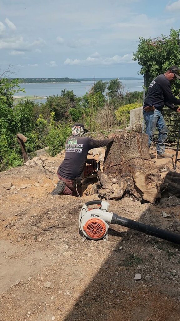 Business queued-photos - JP’S Tree Service