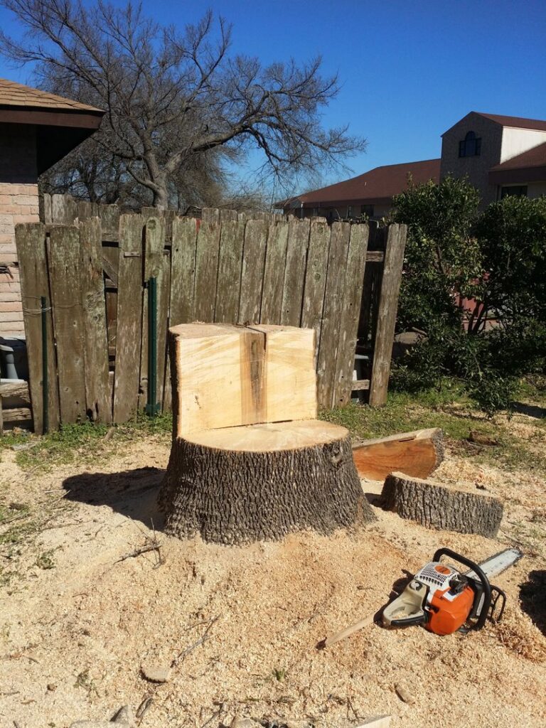 Business queued-photos - JP’S Tree Service