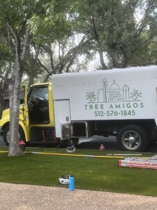 Business queued-photos - The Tree Amigos