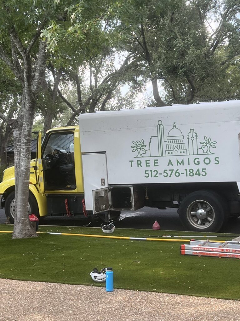 Business queued-photos - The Tree Amigos