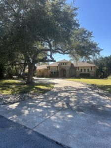 Business queued-photos - The Tree Amigos