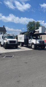 Business queued-photos - G2G Tree Service LLC