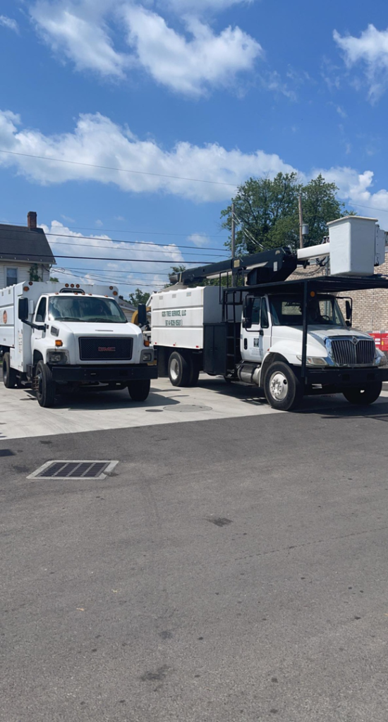 Business queued-photos - G2G Tree Service LLC