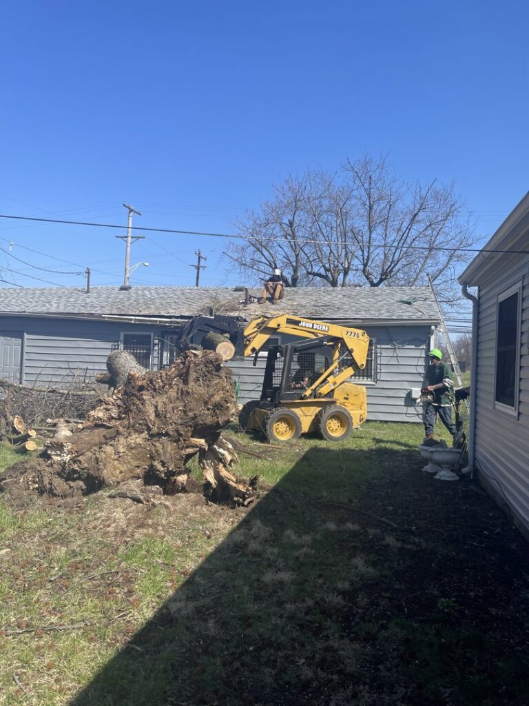 Business queued-photos - G2G Tree Service LLC
