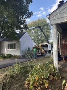 Business queued-photos - G2G Tree Service LLC