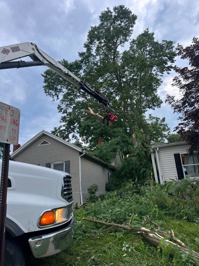 Business queued-photos - G2G Tree Service LLC