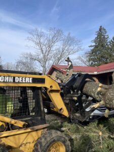 Business queued-photos - G2G Tree Service LLC