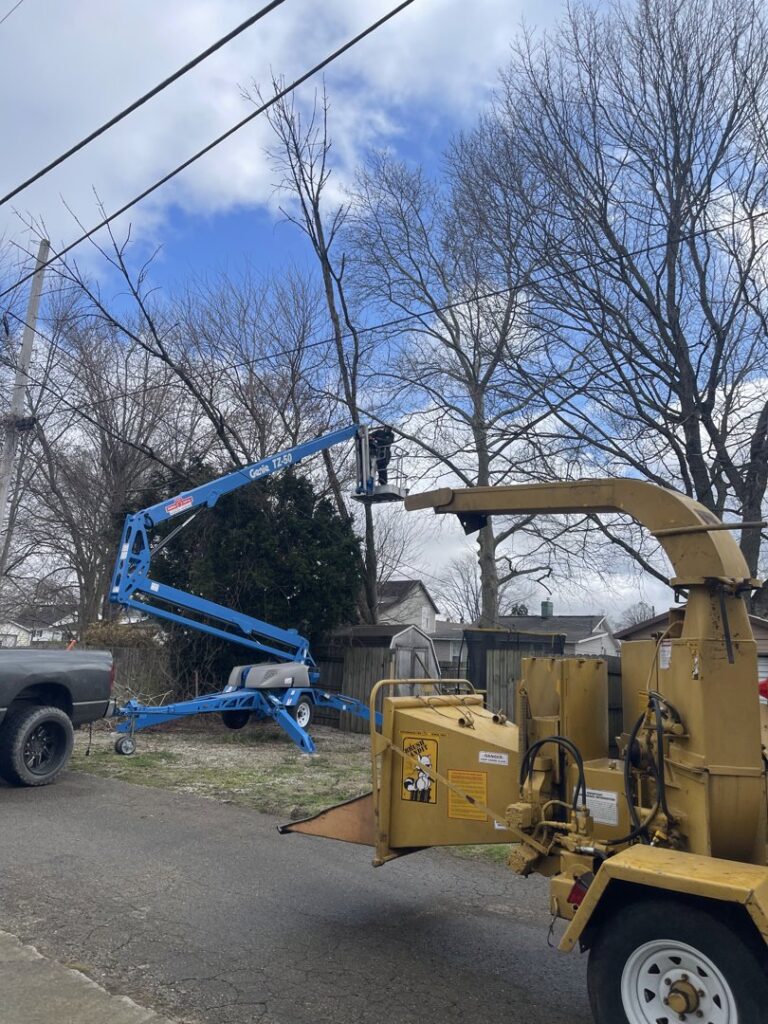Business queued-photos - G2G Tree Service LLC