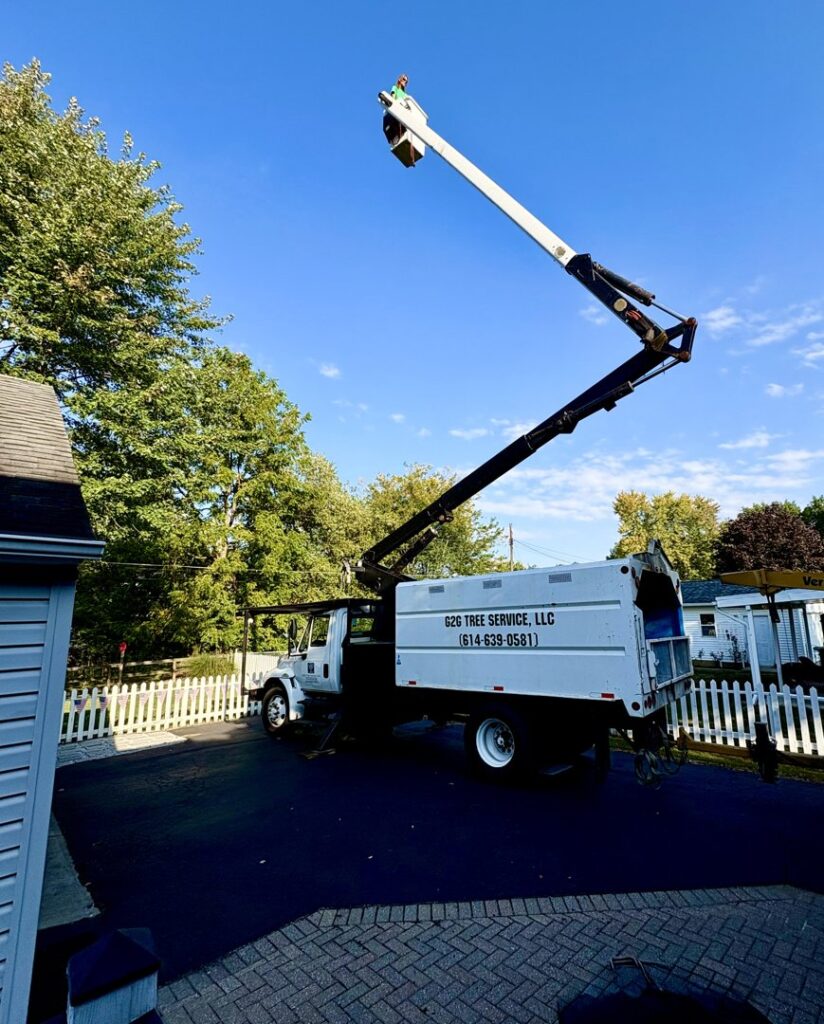 Business queued-photos - G2G Tree Service LLC