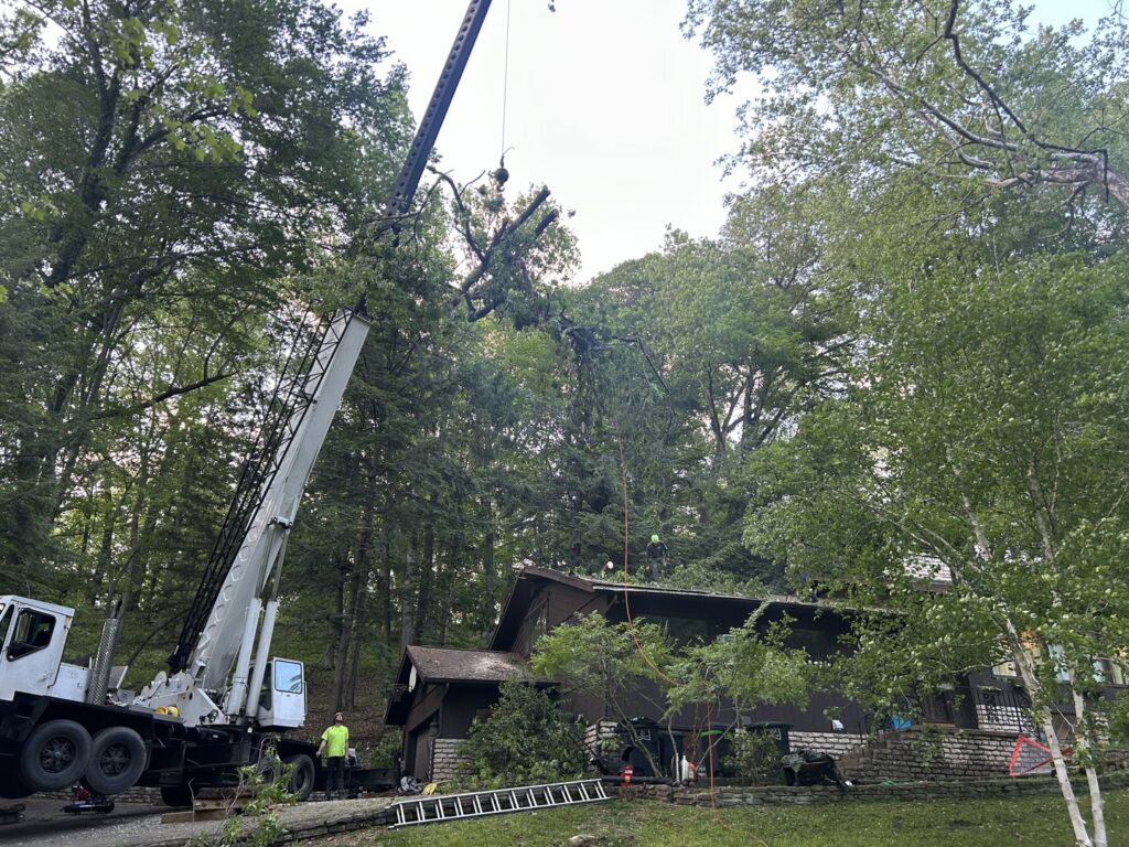 Business queued-photos - G2G Tree Service LLC