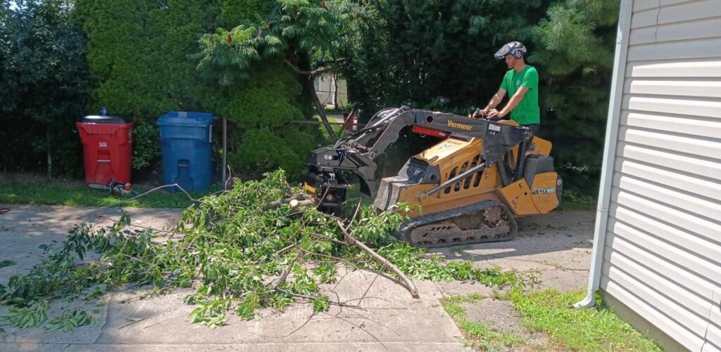 Business queued-photos - G2G Tree Service LLC