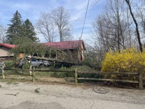 Business queued-photos - G2G Tree Service LLC