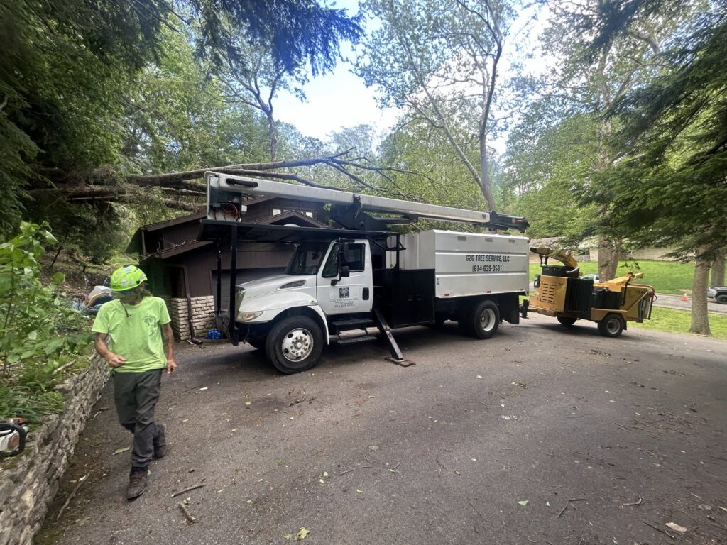 Business queued-photos - G2G Tree Service LLC