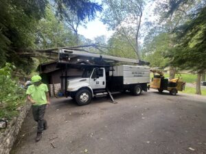 Business queued-photos - G2G Tree Service LLC