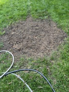 Business queued-photos - G2G Tree Service LLC