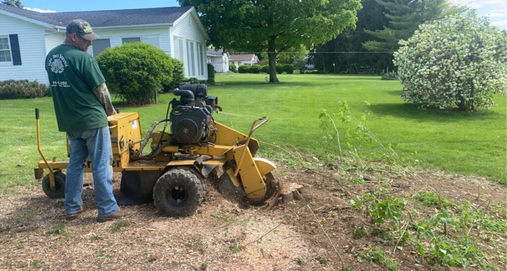 Business queued-photos - G2G Tree Service LLC