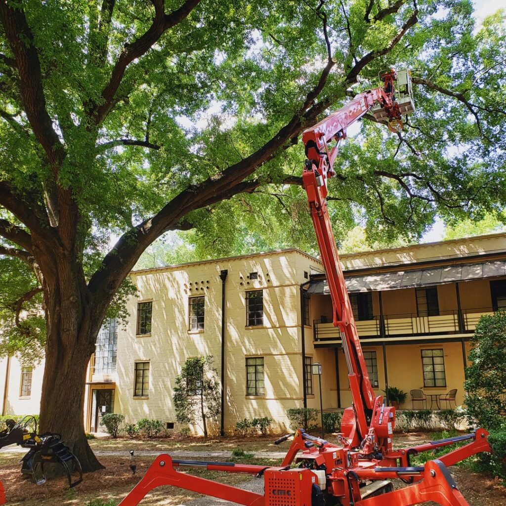 Business queued-photos - Heartwood Tree Care, LLC