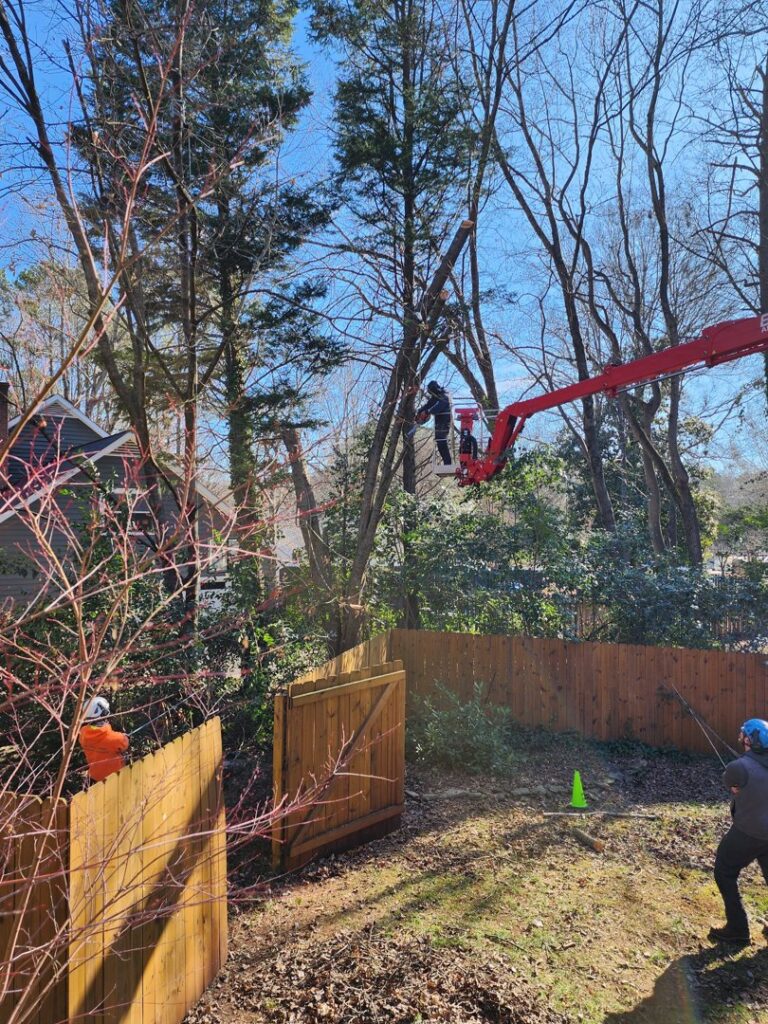 Business queued-photos - Heartwood Tree Care, LLC