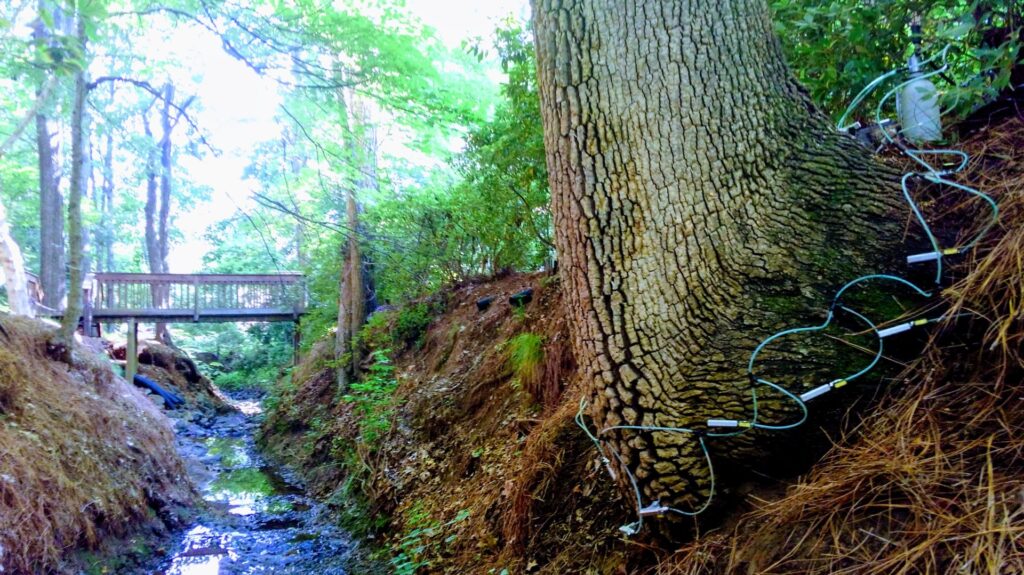 Business queued-photos - Heartwood Tree Care, LLC