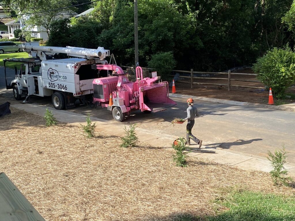 Business queued-photos - Heartwood Tree Care, LLC