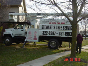 Business queued-photos - Stewarts Tree Service