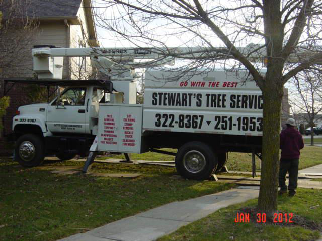 Business queued-photos - Stewarts Tree Service
