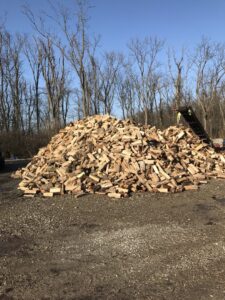 Business queued-photos - Stewarts Tree Service