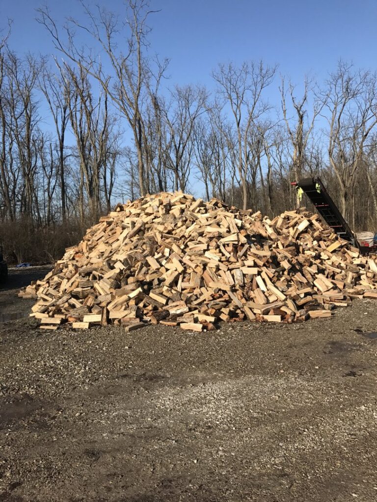 Business queued-photos - Stewarts Tree Service