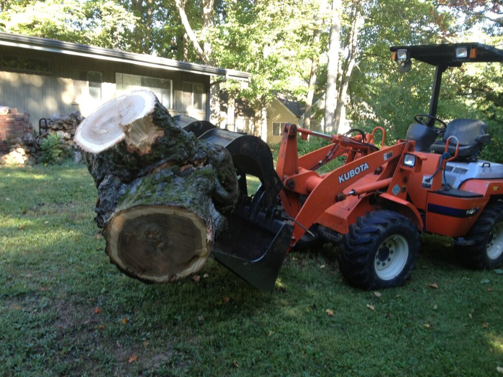 Business queued-photos - Stewarts Tree Service