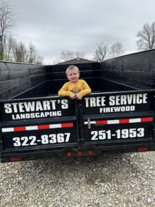 Business queued-photos - Stewarts Tree Service