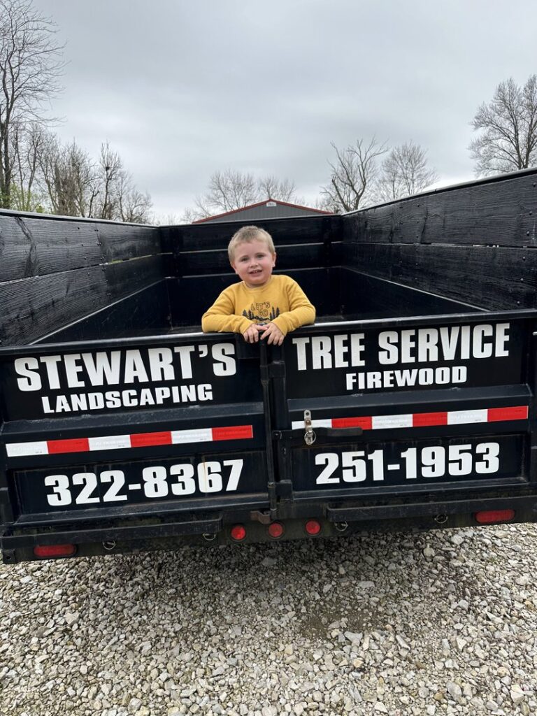 Business queued-photos - Stewarts Tree Service