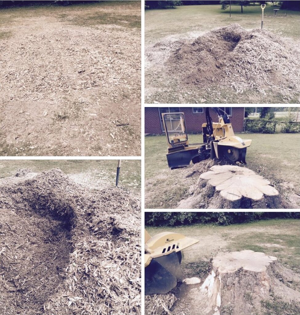 Business queued-photos - Stewarts Tree Service