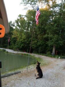 Business queued-photos - Stewarts Tree Service