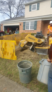 Business queued-photos - The 1 Tree Service