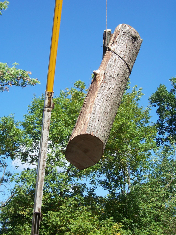 Business queued-photos - The 1 Tree Service