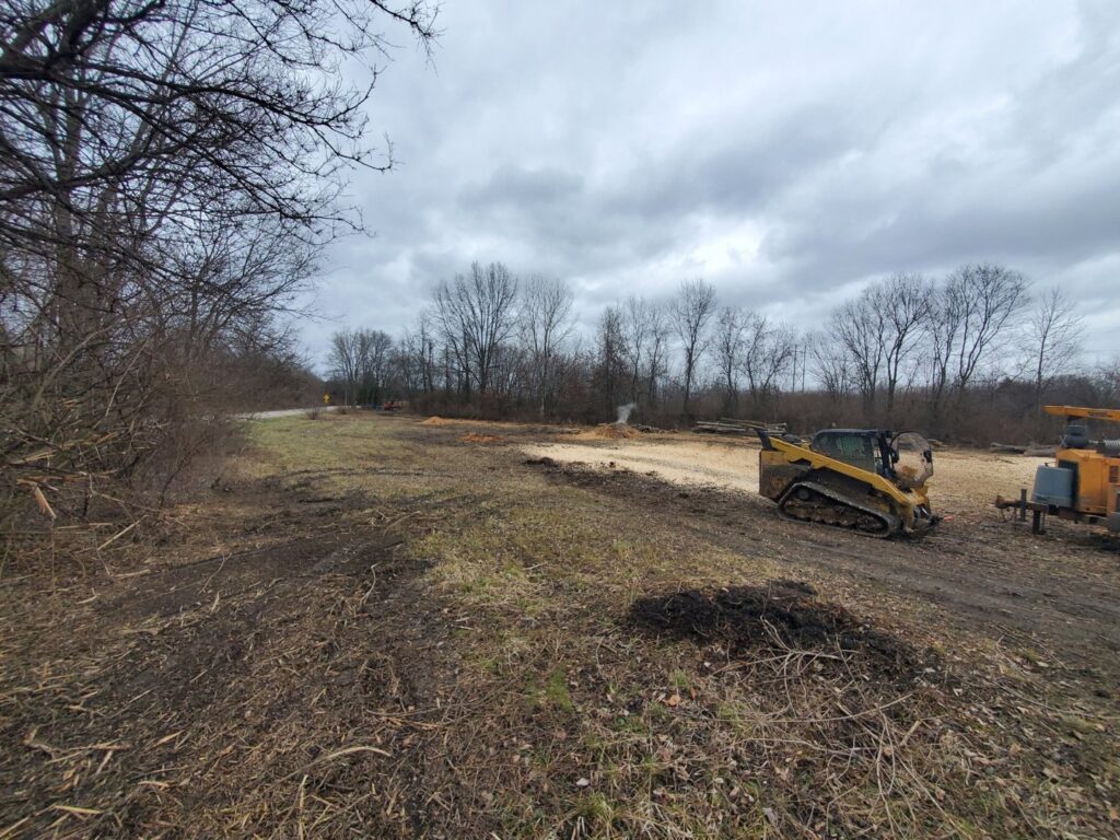 Business queued-photos - The 1 Tree Service
