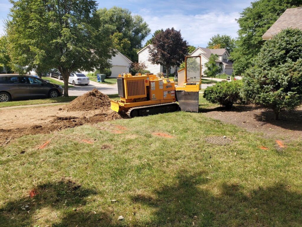 Business queued-photos - The 1 Tree Service