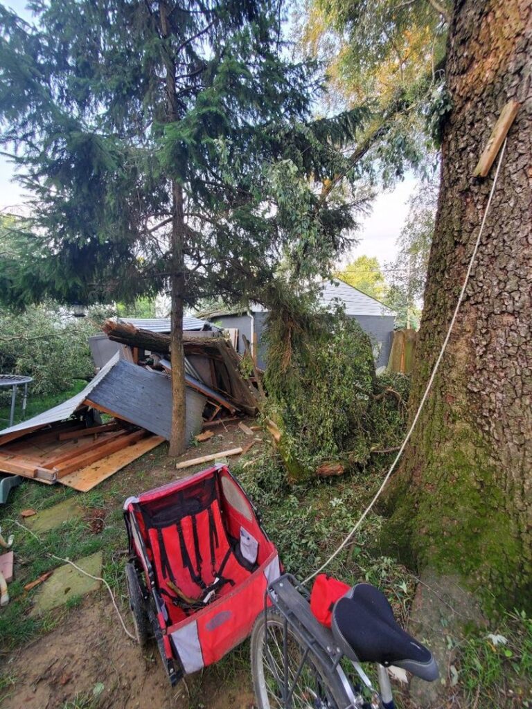 Business queued-photos - The 1 Tree Service