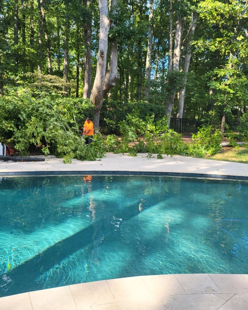 Business queued-photos - Gomez Tree Service LLC