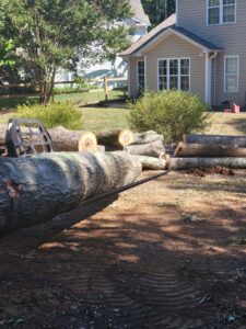 Business queued-photos - Gomez Tree Service LLC