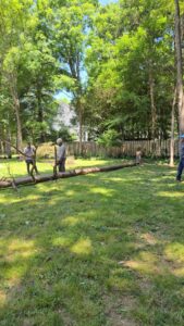 Business queued-photos - Gomez Tree Service LLC