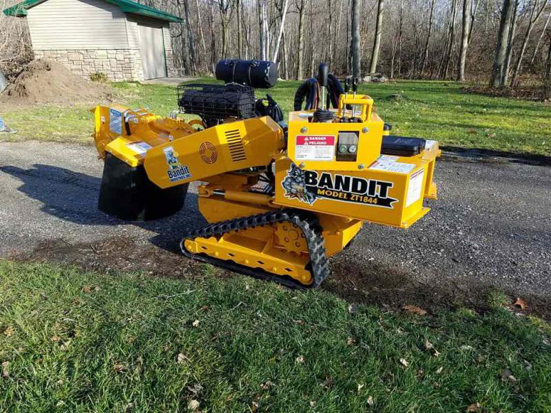 Business queued-photos - Tree service and stump grinding