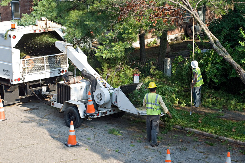 Business queued-photos - Complete Tree Care