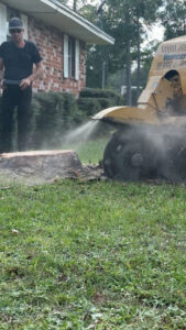 Business queued-photos - All American Tree Service & More LLC